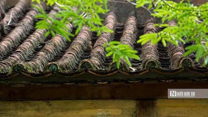 Không chỉ gây ấn tượng bởi quy mô đồ sộ, quần thể nhà cổ còn mang nhiều giá trị tiêu biểu của kiến trúc truyền thống Nam Bộ. Các công trình đều được xây theo kiểu nhà rội, tường gạch, mái lợp ngói, nền lát gạch hoa. Kiến trúc ba gian hai chái kết hợp hai nhà cầu nối liền nhà trước với nhà sau tạo thành hình chữ Khẩu đặc trưng.