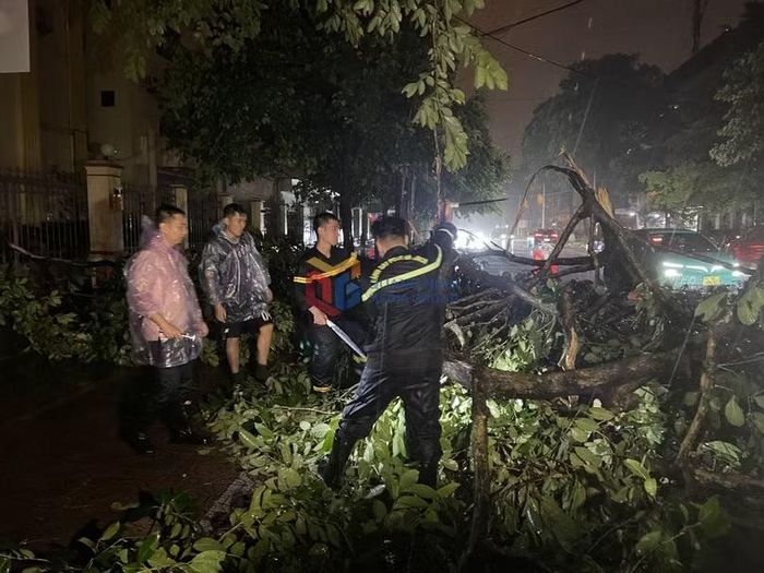 Lực lượng chức năng phường Móng Cái 1 cắt tỉa cây xanh bị gãy đổ. Ảnh: Báo Quảng Ninh.