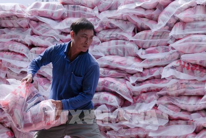 Thị trường xuất khẩu cần được bảo vệ và mở rộng. Ảnh: Văn Sĩ - TTXVN