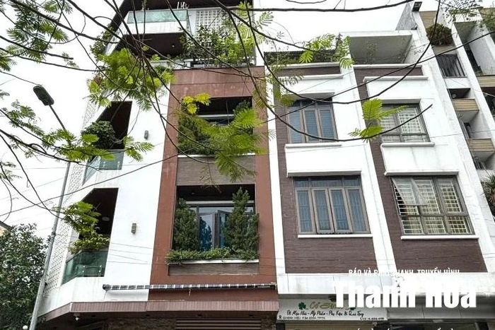 Những khoảng xanh được gia chủ khéo léo tạo trong ngôi nhà.