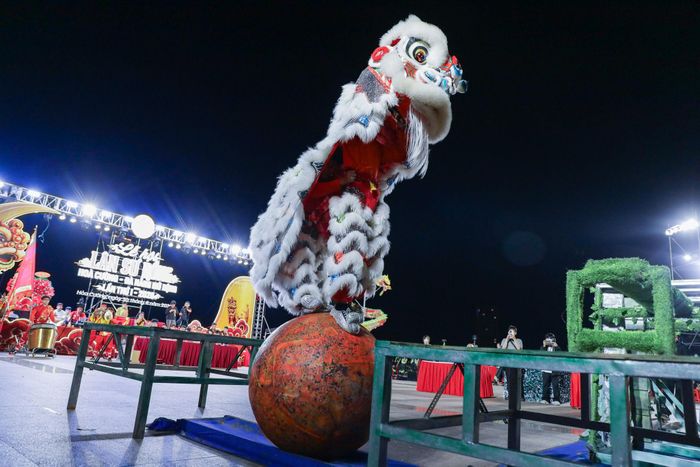 Lễ hội quy tụ 25 đoàn Lân - Sư - Rồng tiêu biểu trên cả nước. Các đội lân trình diễn với trình độ cao, kết hợp nhuần nhuyễn giữa võ thuật với những điệu múa đặc sắc.