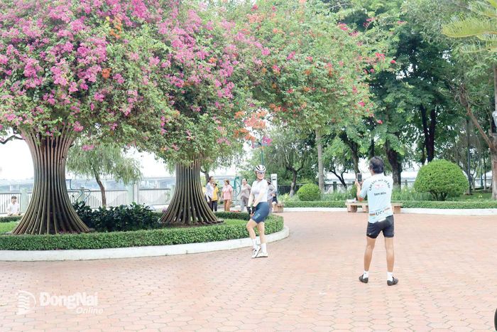 Một góc không gian công viên ven sông Đồng Nai (phường Trấn Biên).