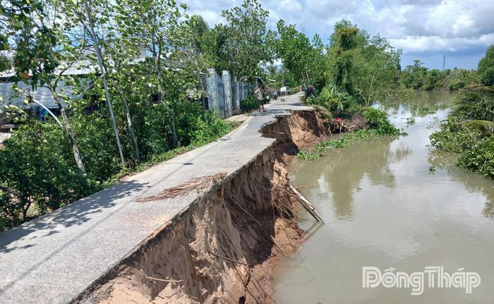Điểm sạt lở bờ Nam sông Cái Lân (xã Thanh Hưng) gây chia cắt giao thông.