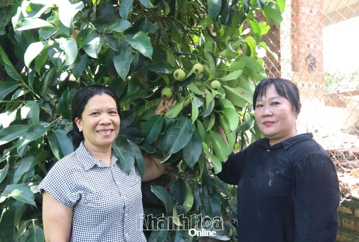 Lãnh đạo Hội Liên hiệp Phụ nữ xã hỏi thăm tình hình sản xuất của gia đình bà Bùi Thị Nguyên Trang (bên phải).