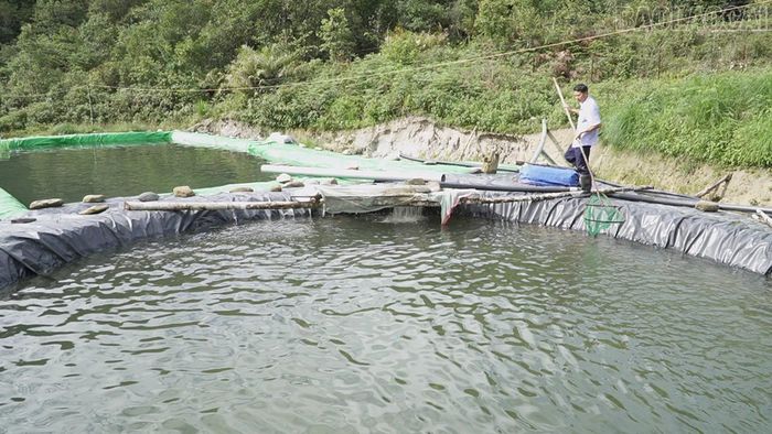 Tận dụng lợi thế tự nhiên từ các nguồn nước lạnh ở địa phương, Hờ A Vàng đã bước đầu thành công với mô hình nuôi cá hồi, cá tầm.