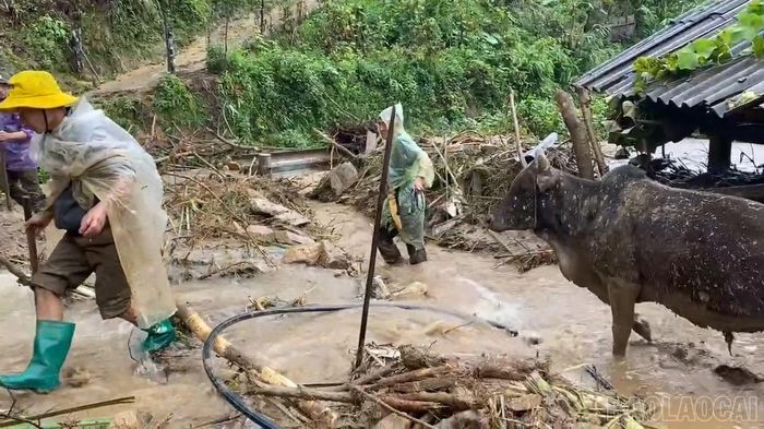 Người dân khẩn trương khắc phục các điểm sạt lở.