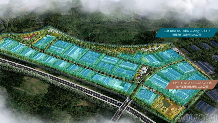 Các đối tác Trung Quốc có nhu cầu thuê đất tại Khu công nghiệp Thống Nhất 1.