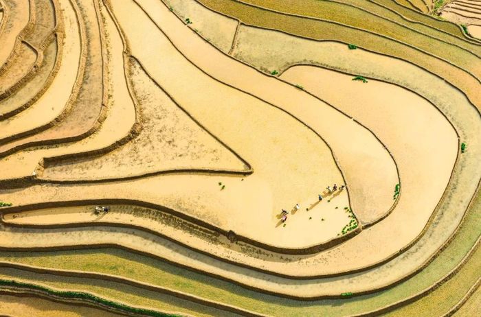 Từ trên cao nhìn xuống, những thửa ruộng bậc thang mùa nước đổ chồng chồng, lớp lớp như những chiếc vân tay khổng lồ của trời.