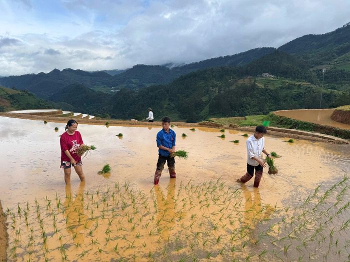 Không chỉ mang vẻ đẹp thiên nhiên đặc sắc, mùa nước đổ ở Mù Cang Chải còn phản ánh nét đẹp lao động cần cù của đồng bào vùng cao nơi đây.