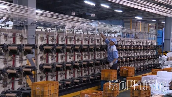 Hoạt động sản xuất của công ty TNHH KOHSEI MULTIPACK Việt Nam hiệu quả hơn nhờ chủ động được một phần nguồn điện.