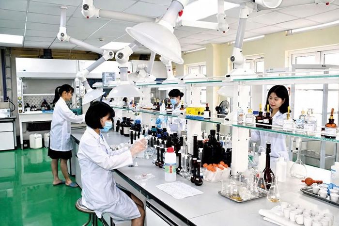 Cán bộ hải quan phân tích, giám định hàng hóa xuất nhập khẩu. Ảnh: CTV