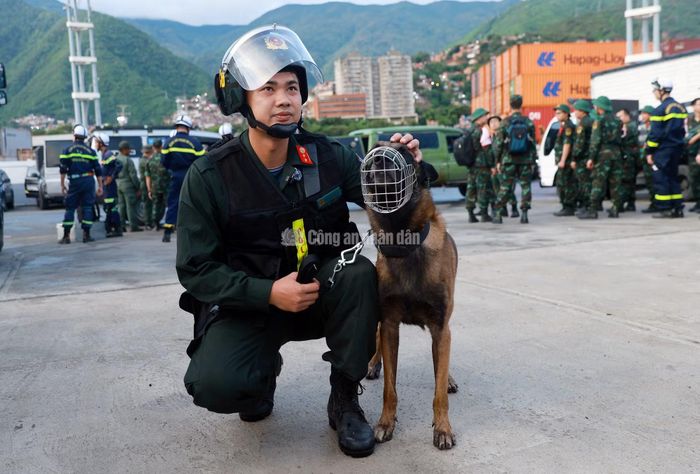 Đây là lần đầu tiên Max "tham chiến" ở nước ngoài.