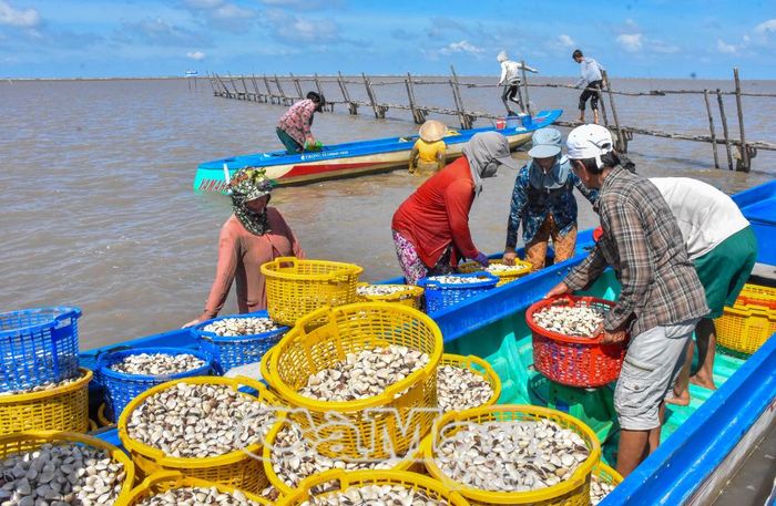 Giải tỏa các hàng đáy góp phần khơi thông luồng giao thông đường thủy và bảo vệ nguồn lợi thủy sản.