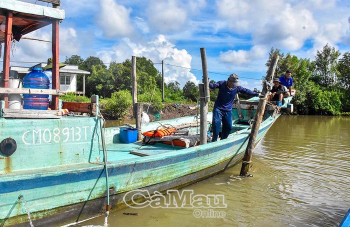 Do các trụ đáy được cắm rất sâu nên địa phương phải huy động ghe lớn để nhổ và di dời vào bờ.