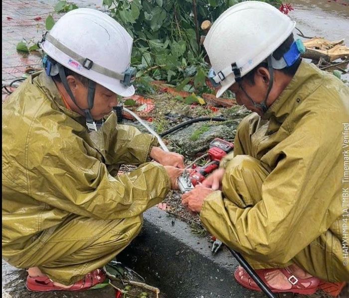 Lực lượng Điện lực Quảng Ninh triển khai sửa chữa lưới điện bị hư hỏng do ảnh hưởng của bão số 1 và hoàn lưu sau bão. Ảnh: EVNNPC