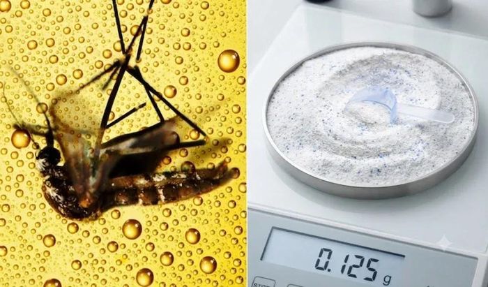 Bạn có thể sử dụng bia và bột giặt để làm "bẫy muỗi"