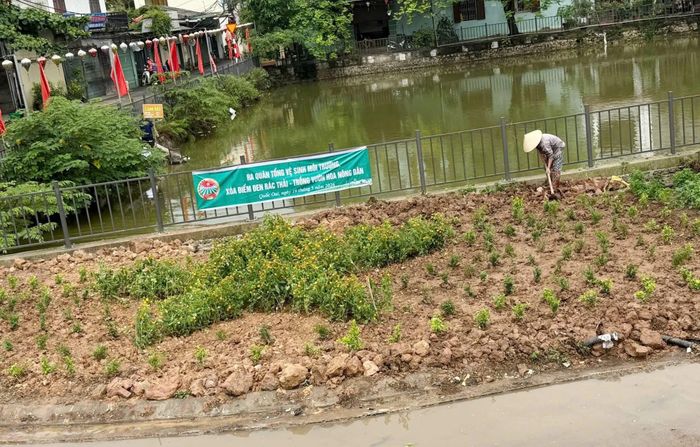 Hội Nông dân xã xóa bỏ nhiều điểm đen rác thải. Ảnh: PV