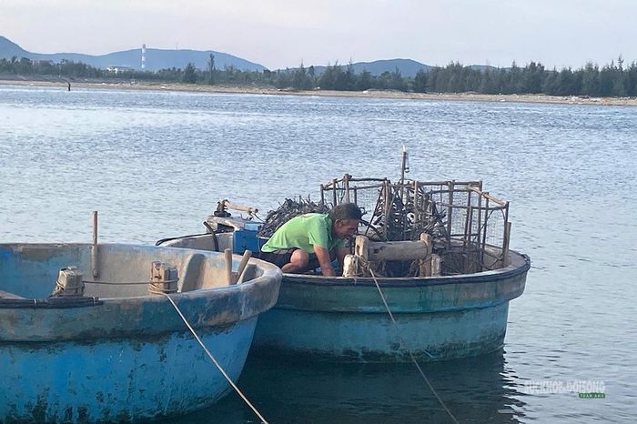 Những chiếc Bóng được xếp đầy trên thúng sau khi đưa từ biển vào bờ.