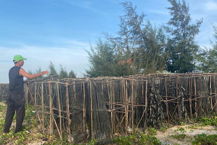Những lồng Bóng ken dày trên bãi biển, cho thấy quy mô đầu tư của ngư dân theo nghề.