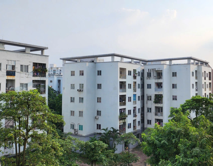 Phân khúc nhà ở cho thuê được thúc đẩy mạnh mẽ.