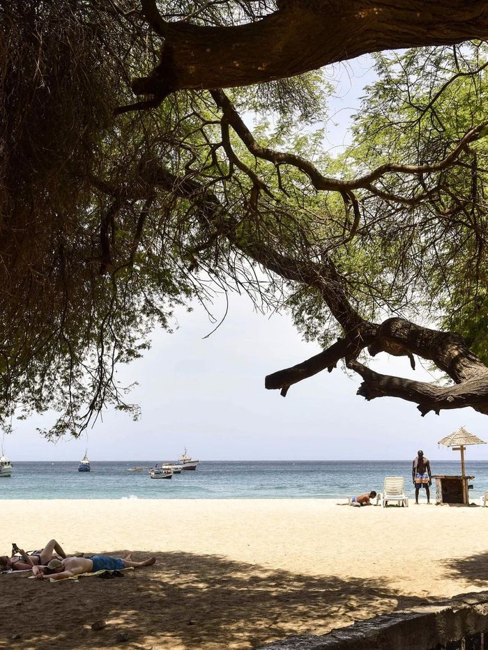  Một góc rợp bóng mát trên bãi biển Tarrafal, điểm nghỉ dưỡng nổi tiếng của Cape Verde. Ảnh: Condé Nast Traveler.