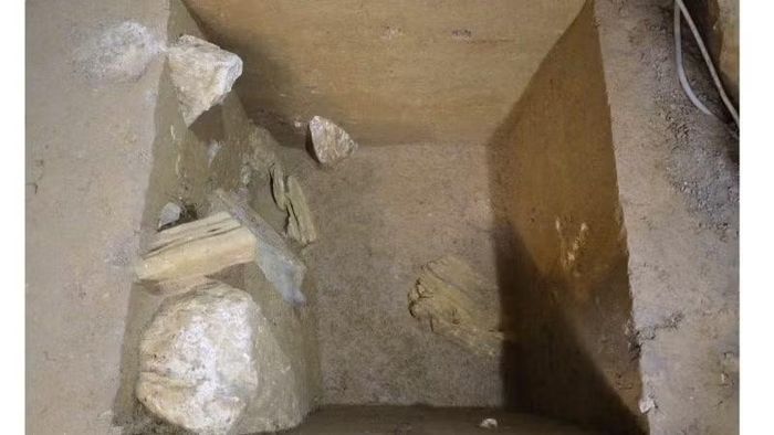 Bề mặt sinh thổ H1 trong động.