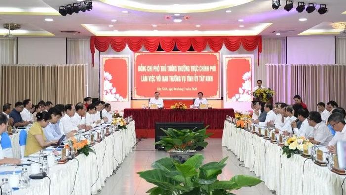 Quang cảnh buổi làm việc.