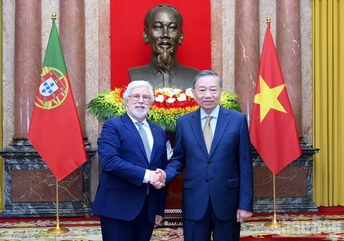Tổng Bí thư, Chủ tịch nước Tô Lâm và Đại sứ Bồ Đào Nha Joaquim Alberto De Sousa Moreira De Lemos. (Ảnh: ĐĂNG KHOA)