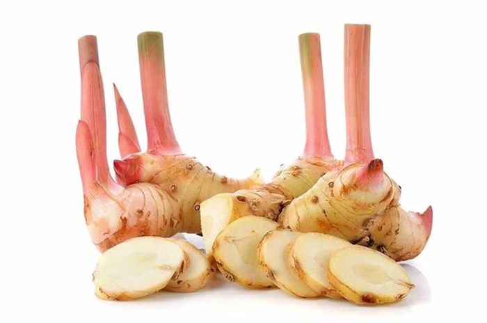 Ảnh: Dược liệu tên Việt Nam - UMP