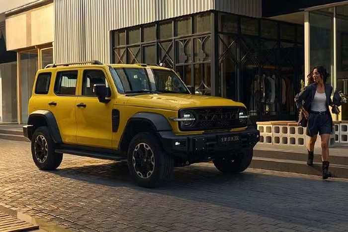 Xe có cụm điều khiển điều hòa vật lý, cửa gió trung tâm hình chữ nhật, cần số đặt trên cột lái và bệ trung tâm mới với không gian chứa đồ lớn hơn. Tuy nhiên, vô lăng đã từ bỏ thiết kế 2 chấu từng gây nhiều tranh cãi để quay trở lại kiểu 3 chấu truyền thống. Tank 300 từng xuất hiện tại các đại lý ở Việt Nam vào năm 2025, xe có 2 phiên bản là máy xăng và hybrid với giá bán từ 1,469-1,799 tỷ đồng.