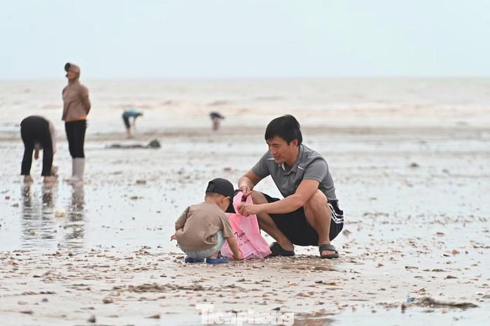 Được miêu tả là một trong những cơn bão khắc nghiệt nhất trong nhiều năm qua nhưng bão số 1 vẫn đem lại cho người dân 'lộc trời' khi hàng tấn hải sản bị sóng đánh dạt lên bờ biển.