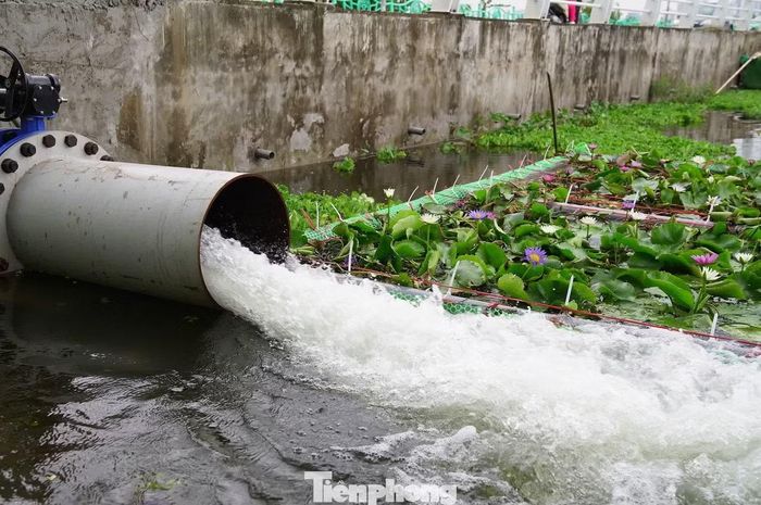 Trước đó vào ngày 2/9/2025, chủ đầu tư đã triển khai thí điểm lấy nước đã qua xử lý vào hồ Sen 3. Qua khảo sát, các chỉ tiêu lý hóa, thông số môi trường, quy chuẩn kỹ thuật nước sau khi được dẫn lọc đảm bảo chất lượng để dẫn nước vào hồ Tây được dư luận, cơ quan chức năng đánh giá cao. Ảnh chụp tháng 9/2025