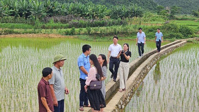 Đoàn công tác của Bộ Dân tộc và Tôn giáo kiểm tra tuyến kênh mương nội đồng Làng Lự, xã Thanh Phong. Ảnh: Quỳnh Trâm