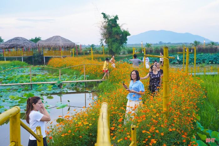  Khu sinh thái Thôn Trang Liên Nhật (phường Trần Phú). Ảnh: Thanh Quý. 