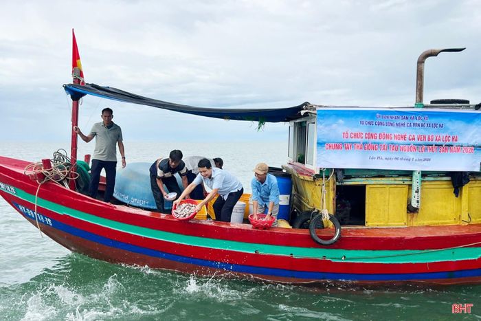 Thả sò huyết và ngao mật để góp phần tái tạo nguồn lợi thủy sản.