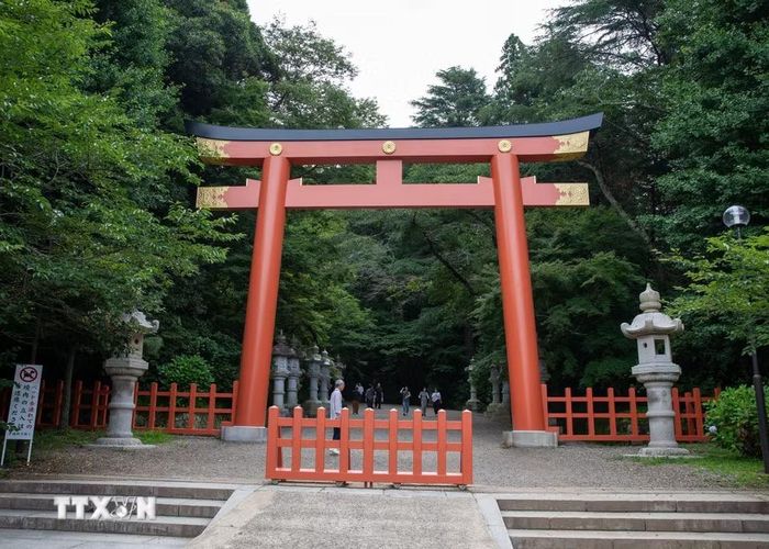 Con đường dẫn lên đền Katori Jingu bao quanh bởi những hàng cây cổ thụ xanh mát, tạo nên bầu không khí trang nghiêm và yên tĩnh. (Ảnh: Xuân Giao/TTXVN)
