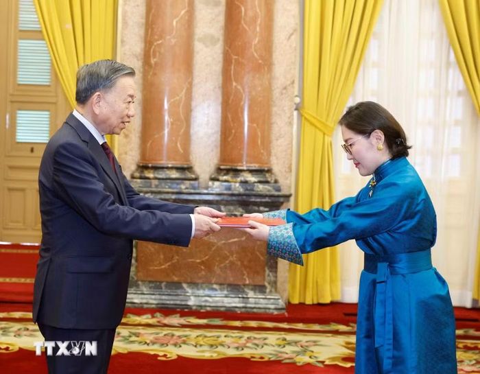 Tổng Bí thư, Chủ tịch nước Tô Lâm nhận Quốc thư từ Đại sứ Mông Cổ Hulan Ganbaatar. (Ảnh: Thống Nhất/TTXVN)