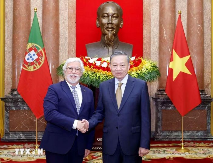 Tổng Bí thư, Chủ tịch nước Tô Lâm và Đại sứ Bồ Đào Nha Joaquim Alberto De Sousa Moreira De Lemos. (Ảnh: Thống Nhất/TTXVN)