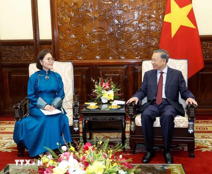 Tổng Bí thư, Chủ tịch nước Tô Lâm tiếp Đại sứ Mông Cổ Hulan Ganbaatar. (Ảnh: Thống Nhất/TTXVN)