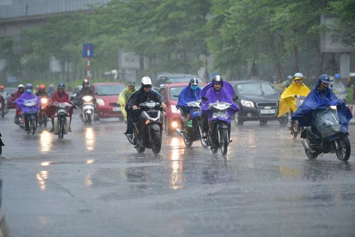 Vùng núi Bắc Bộ có mưa vừa, cục bộ có nơi mưa to đến rất to.