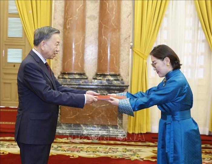 Tổng Bí thư, Chủ tịch nước Tô Lâm nhận Quốc thư từ Đại sứ Mông Cổ Hulan Ganbaatar. Ảnh: Thống Nhất/TTXVN