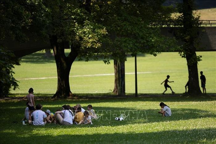 Người dân tránh nóng dưới bóng cây trong công viên tại Ljubljana, Slovenia ngày 29/6/2026. Ảnh: THX/TTXVN phát