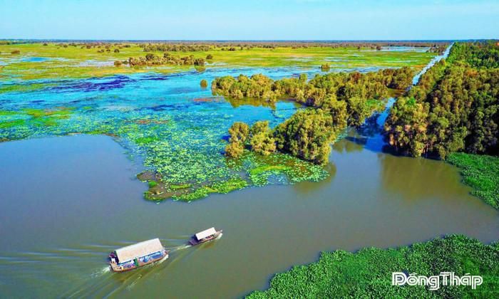 Cảnh đẹp vườn Quốc gia Tràm Chim. Ảnh: báo Đồng Tháp.