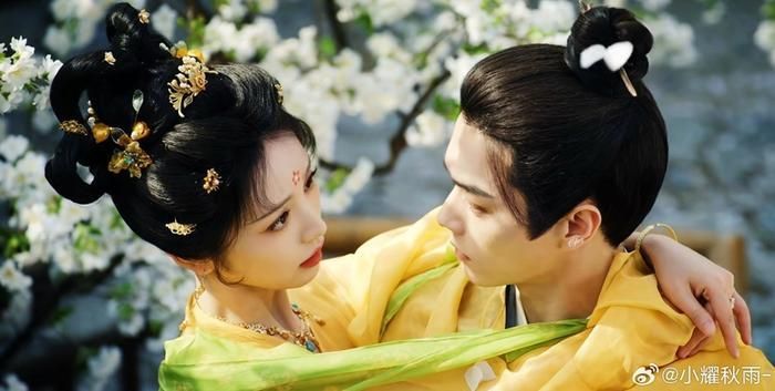 Lấy bối cảnh Trường An vừa hoa lệ vừa ẩn chứa nhiều bí mật, Tử Dạ Quy xoay quanh Vũ Trinh và Mai Trục Vũ - hai con người mang thân phận đối lập. Ban ngày, Vũ Trinh là một quận chúa nổi tiếng phóng khoáng, còn Mai Trục Vũ là viên quan nghiêm túc, chính trực. Thế nhưng khi màn đêm buông xuống, Vũ Trinh lại là yêu miêu đã sống hơn hai trăm năm, trong khi Mai Trục Vũ là đạo sĩ chuyên trừ yêu. Cuộc hôn nhân sắp đặt khiến họ buộc phải đồng hành, từ đó lần lượt khám phá những vụ án kỳ bí liên quan đến yêu quái và thế lực đen tối tại Trường An. Sự đối lập giữa thân phận, tính cách và nhiệm vụ tạo nên sức hút riêng cho chuyện tình của hai nhân vật.