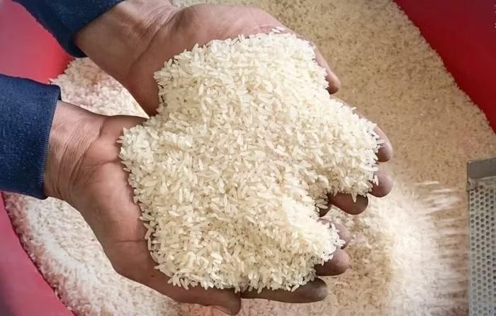 Giá lúa gạo hôm nay tại khu vực Đồng bằng sông Cửu Long ít biến động