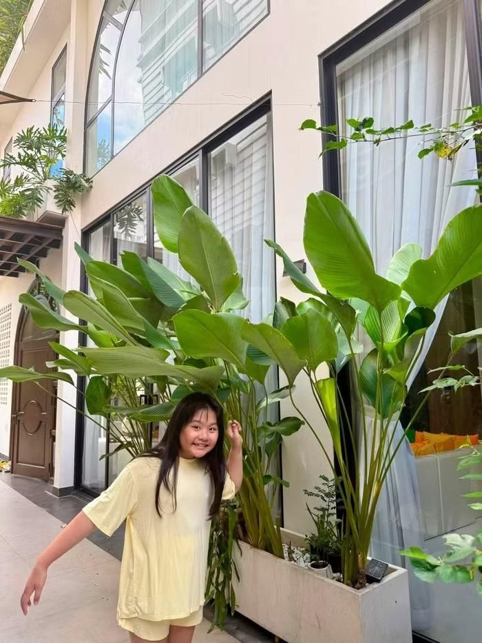 Mới đây, trên trang Facebook cá nhân, Vân Trang đã chia sẻ loạt hình ảnh về căn biệt thự rộng hơn 1.000m², được bao phủ bởi không gian xanh mát