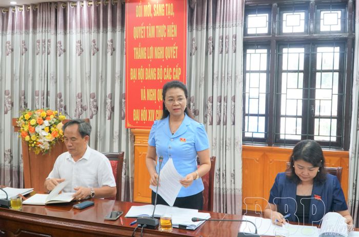 Trưởng ban Kinh tế - Ngân sách (HĐND tỉnh) đề nghị các sở, ngành làm rõ một số nội dung.