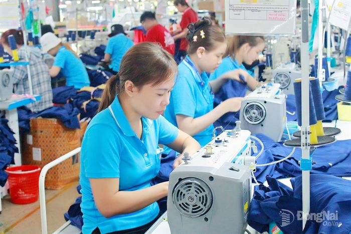 May mặc là ngành đang cần tuyển nhiều lao động phổ thông. Ảnh: N.Hòa