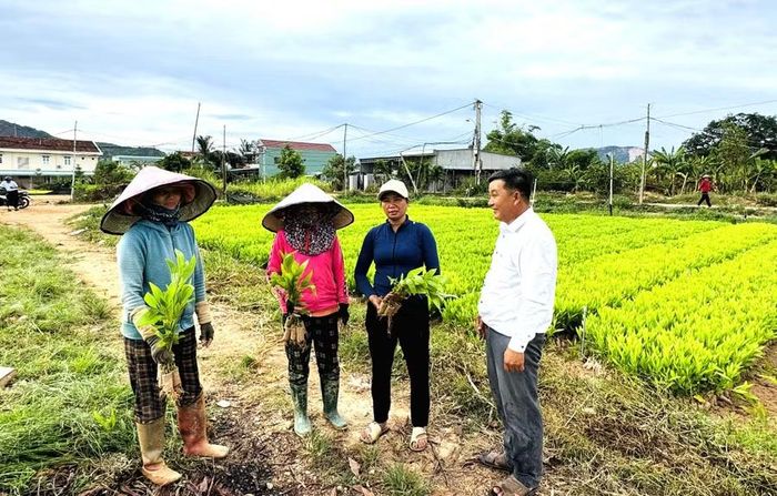  Sau hơn 1 năm vận hành chính quyền địa phương 2 cấp, xã Canh Vinh đạt nhiều kết quả tích cực trong phát triển kinh tế - xã hội. Ảnh: N.H 