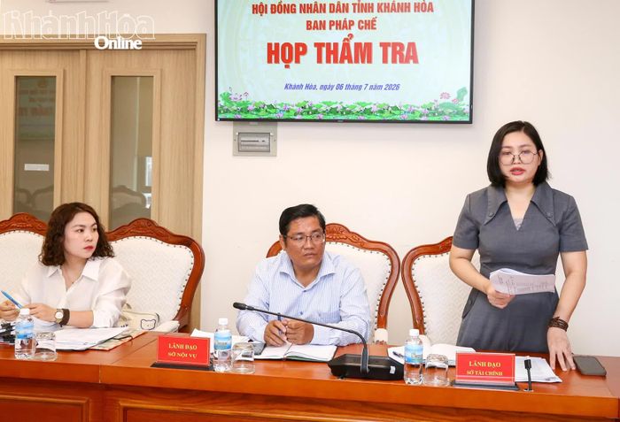 Lãnh đạo Sở Tài chính trình bày nội dung trình.